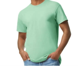 Short sleeve Gildan Tee unisex (Pick your color)
