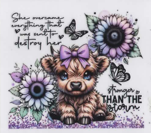 Stronger than the Storm