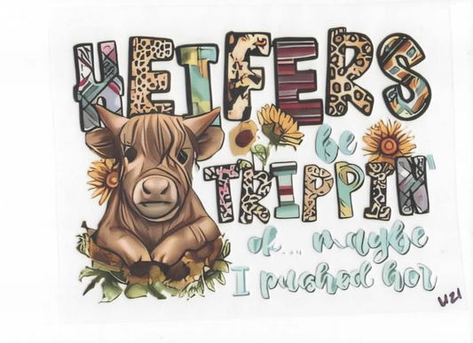 HEIFERS (W21)
